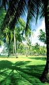 Kata Thani Beach Resort 